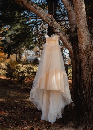 White wedding dress hanging artistically between trees with autumn leaves.