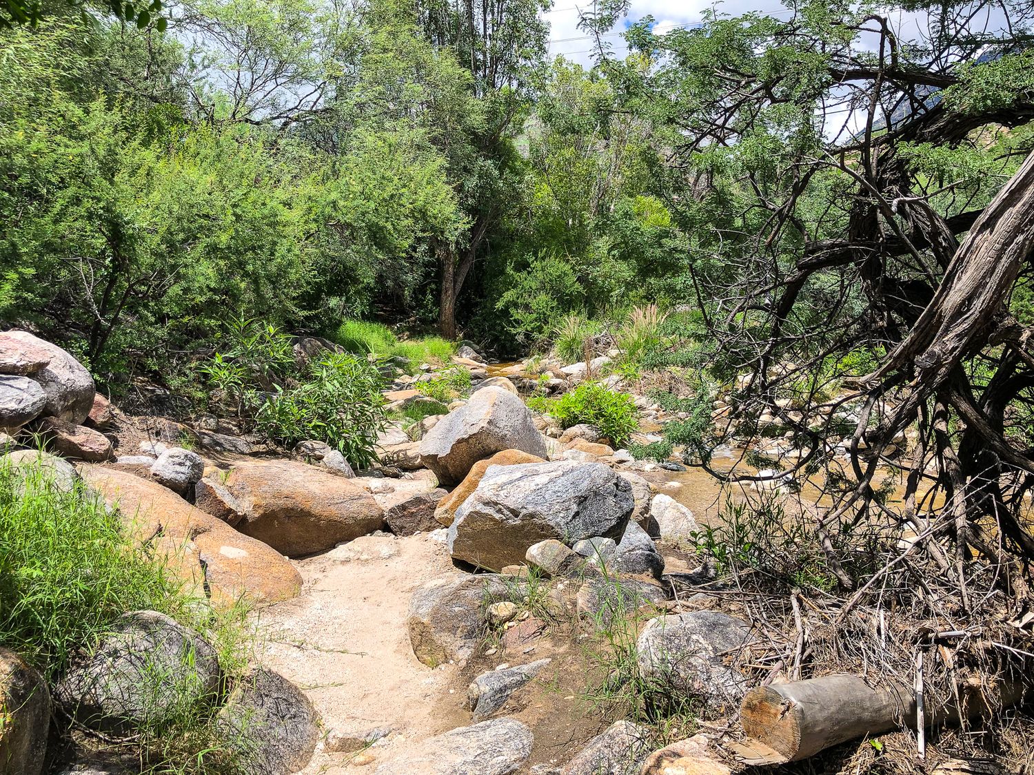 Vantana Trailhead after monsoons, a great place for family photos