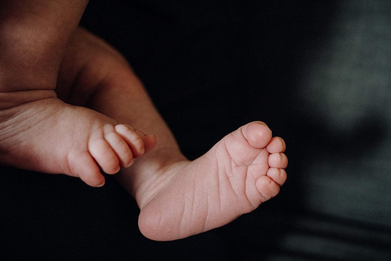 Close ups, details, captured to last a lifetime and beyond.
