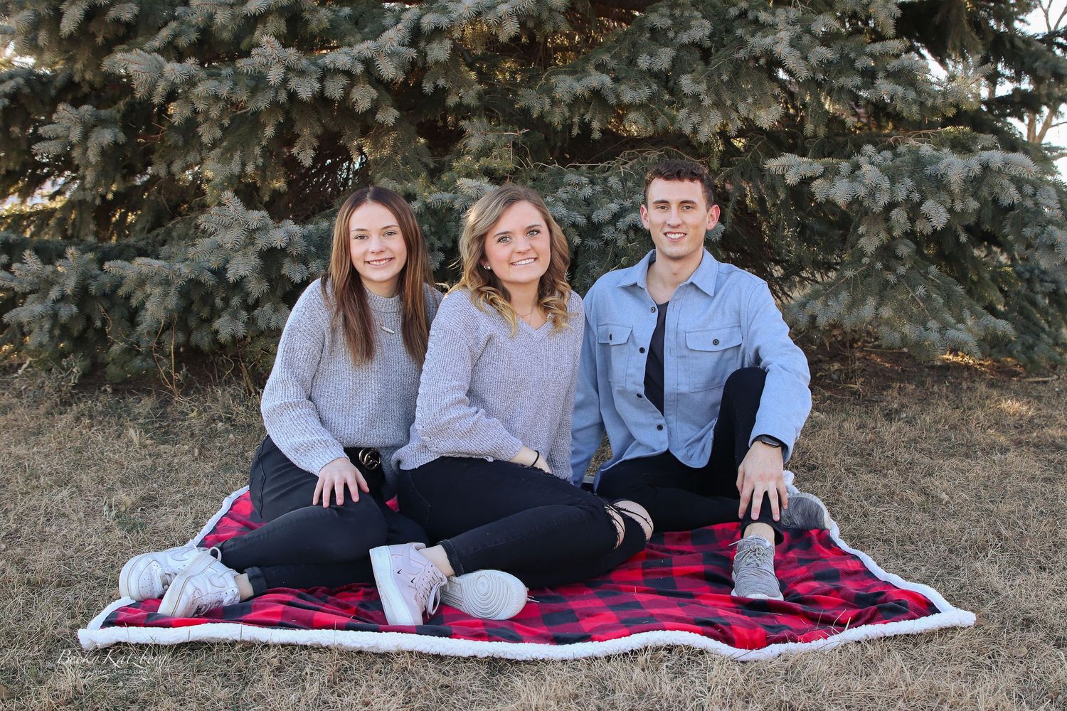 becky katzberg photography siblings by a evergreen on a plaid blanket