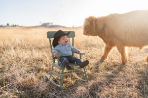 Child in camp chair with fluffy dog during golden hour in meadow.