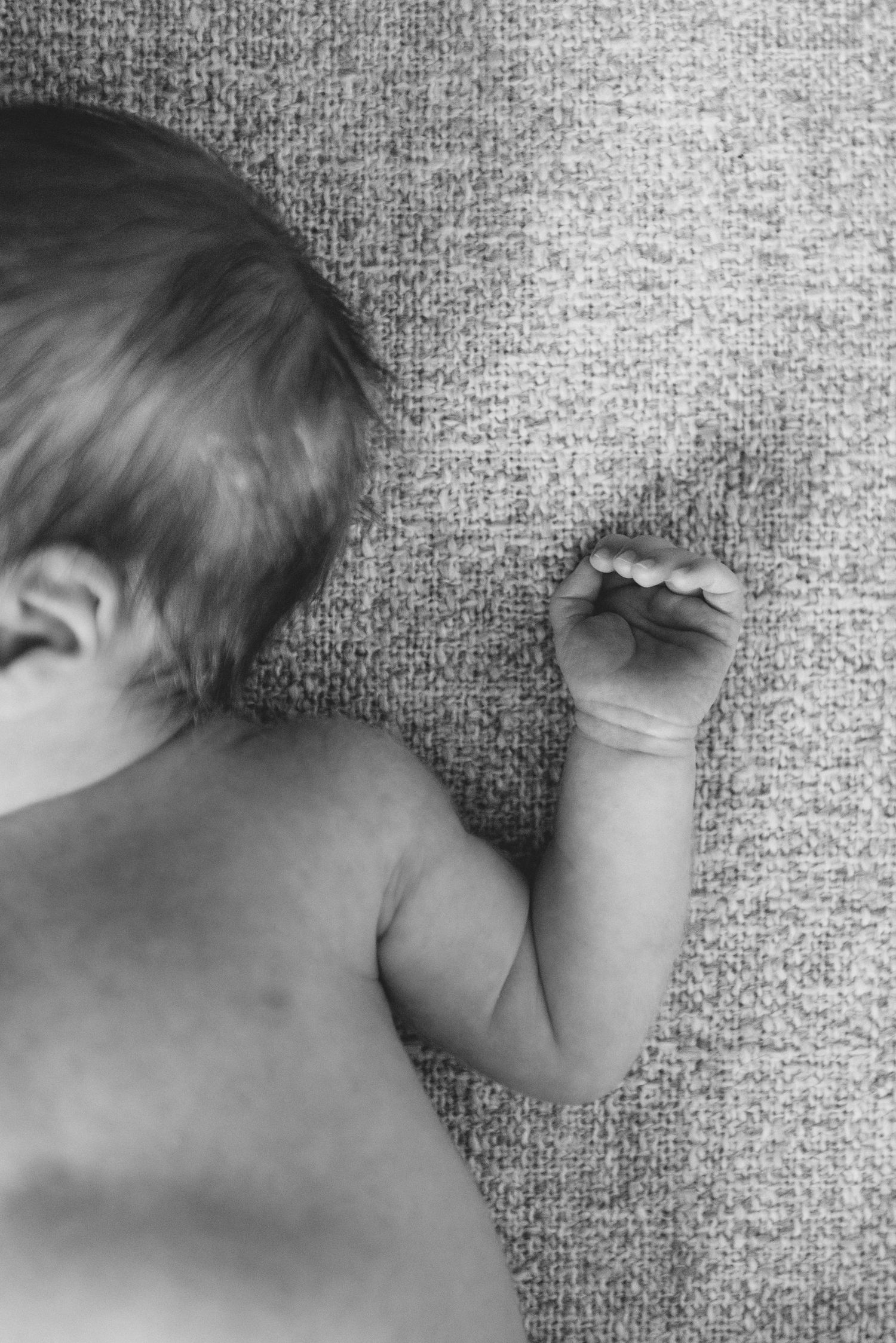 Black and white close-up sequence showing movement across a textured gray surface.