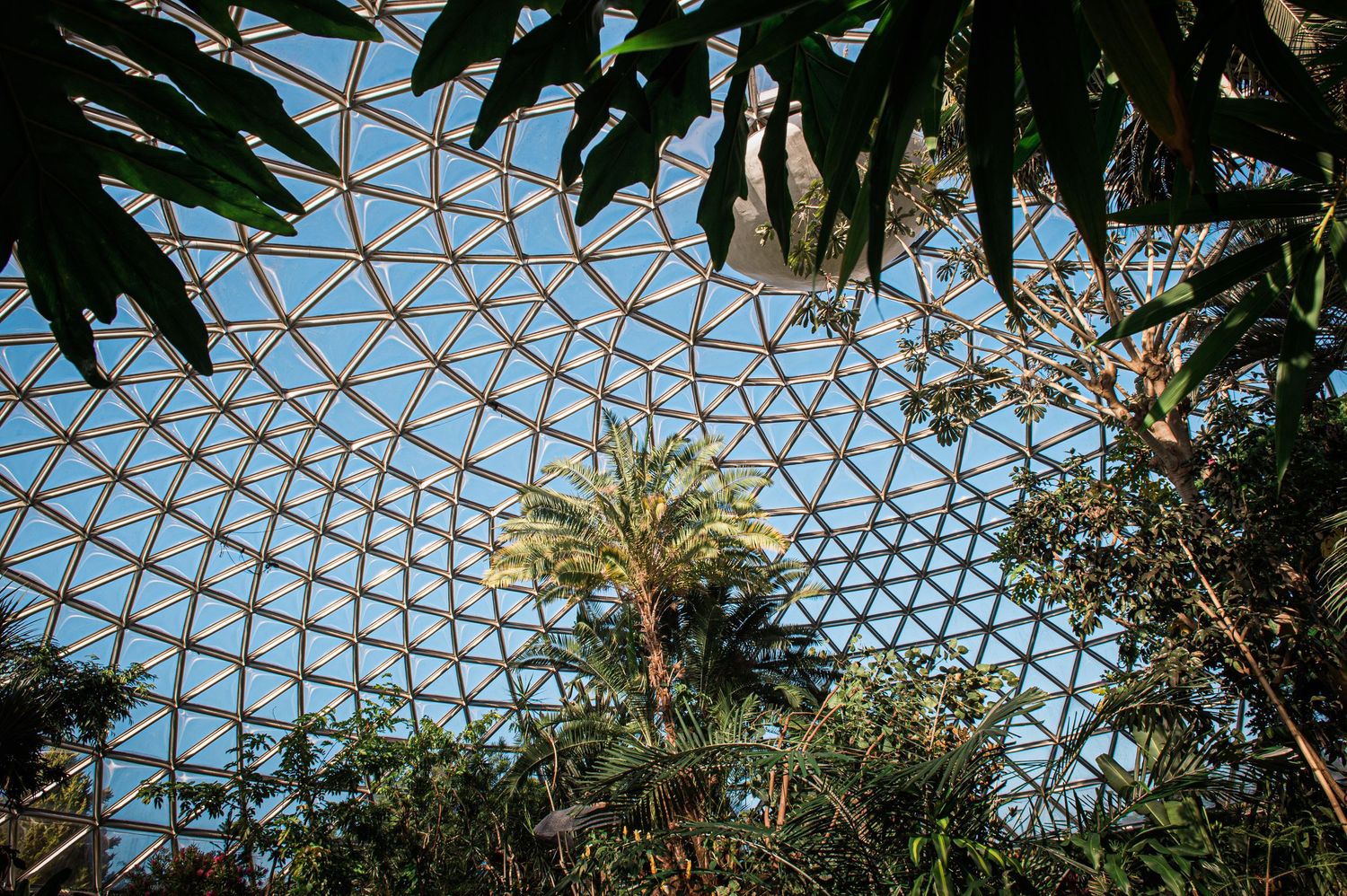 Geometric glass dome ceiling with palm trees visible through the hexagonal pattern framework.