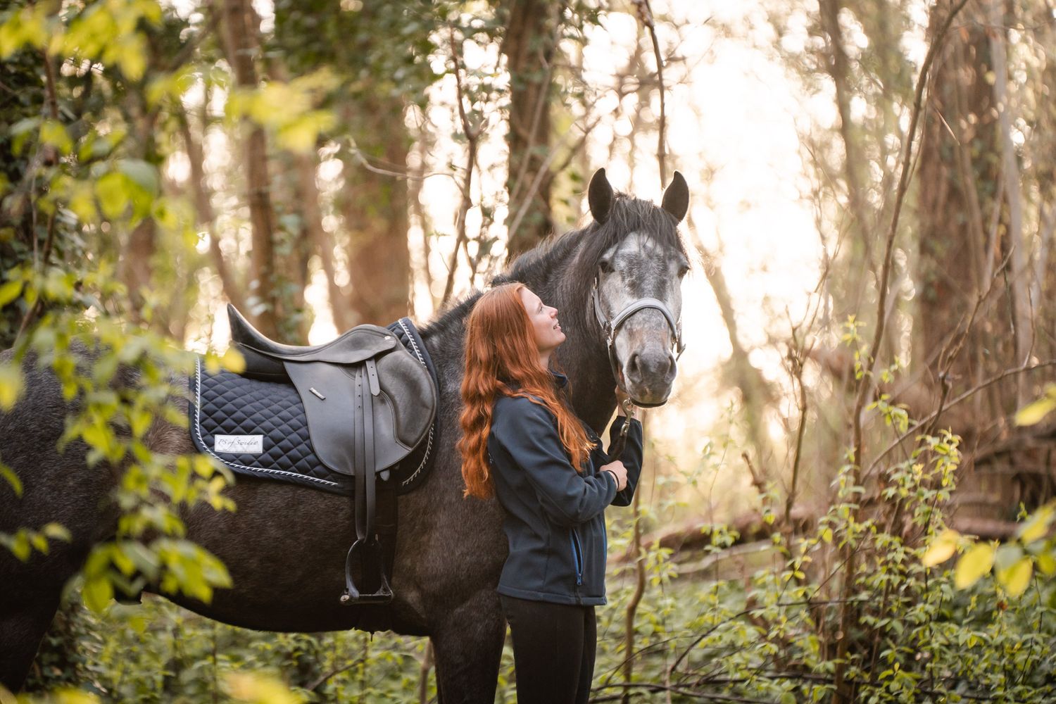 Cheval gris et sa cavalière en séance photo