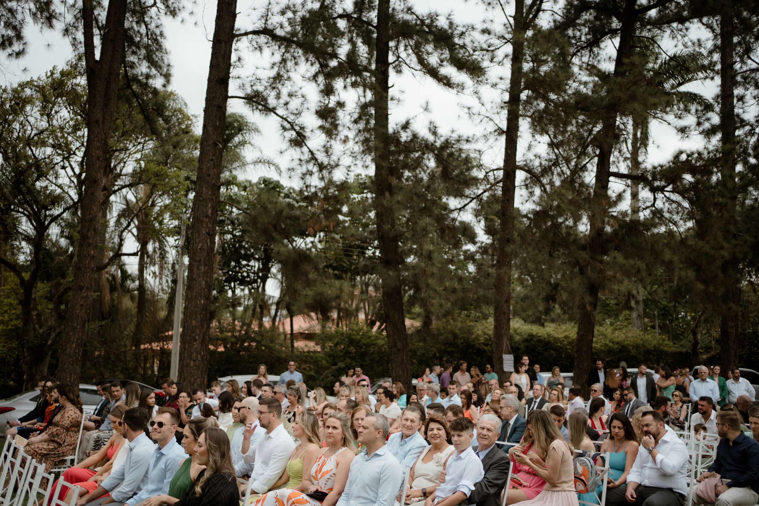 Rows of wedding guests seated outdoors beneath towering pine trees during ceremony.