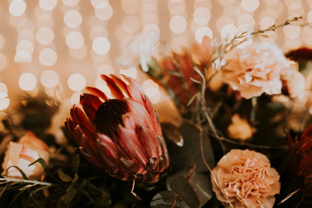 South Coast photographer, KwaZulu-Natal https://www.cheniqueslier.com/
