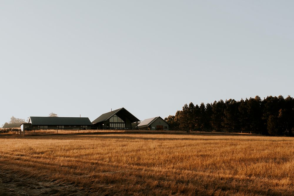 South Coast photographer, KwaZulu-Natal https://www.cheniqueslier.com/