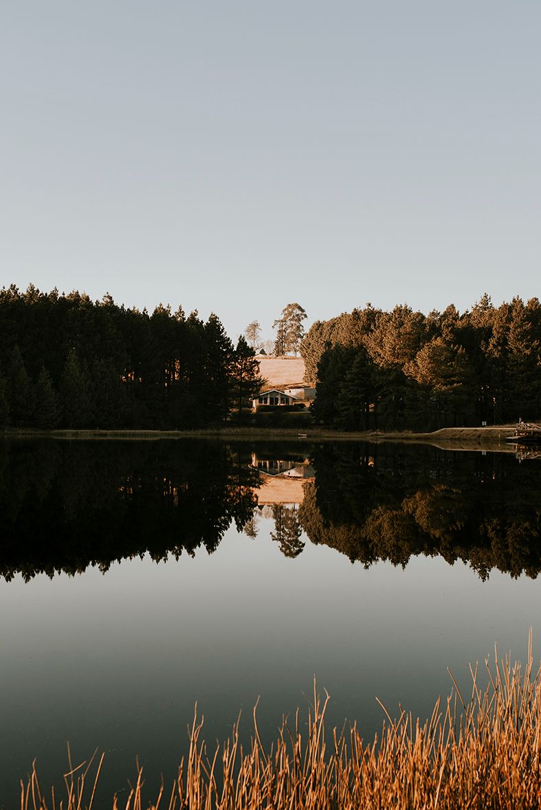 South Coast photographer, KwaZulu-Natal https://www.cheniqueslier.com/