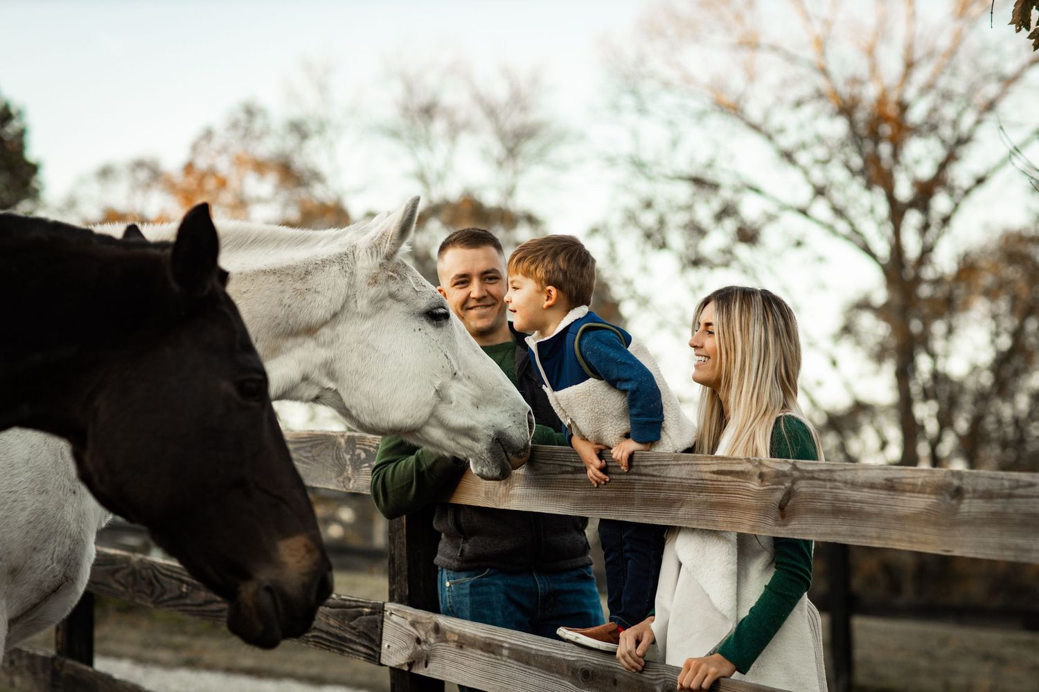 Happy family with young child kissing white horse over wooden fence at a farm.