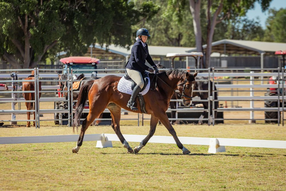 Dressage competition with horse and rider in formal attire performing in outdoor arena.