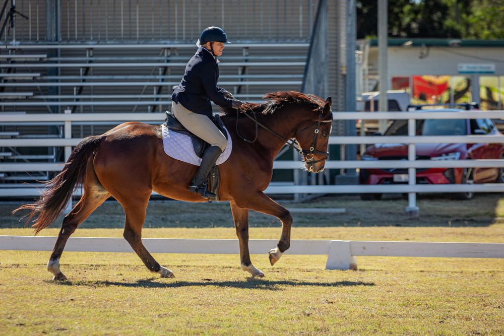 Equestrian rider performing dressage on a chestnut horse near outdoor bleachers.
