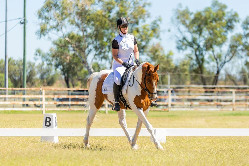 A paint horse and rider performing dressage movements in a sand arena.