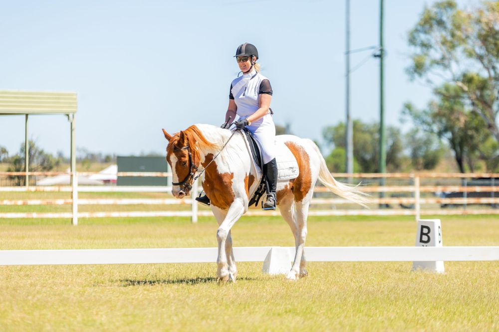 A paint horse with brown and white markings performing dressage in an outdoor arena.