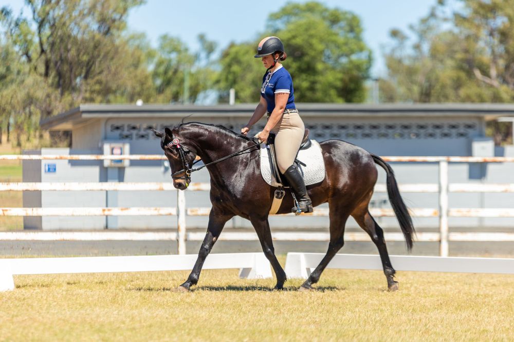 A dressage rider on a black horse performing movements in a sandy arena.