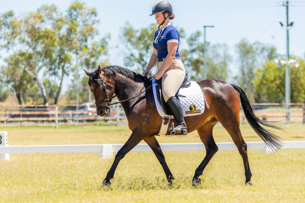 A dark horse performing dressage movements in an outdoor arena.