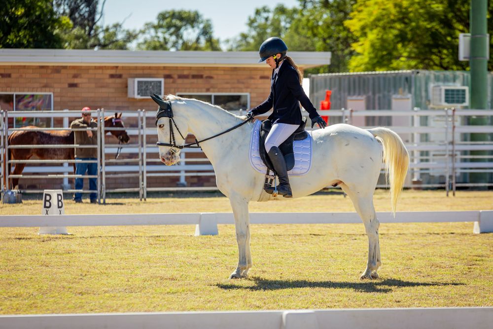 White horse and rider in formal equestrian attire at outdoor competition.