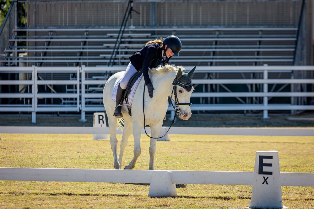 White horse and rider practicing dressage movements near arena markers.