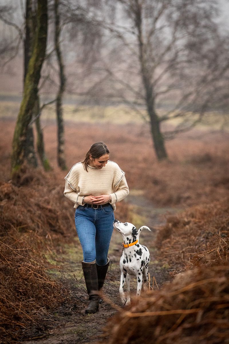 A casual walk through autumn woods with a Dalmatian dog companion.
