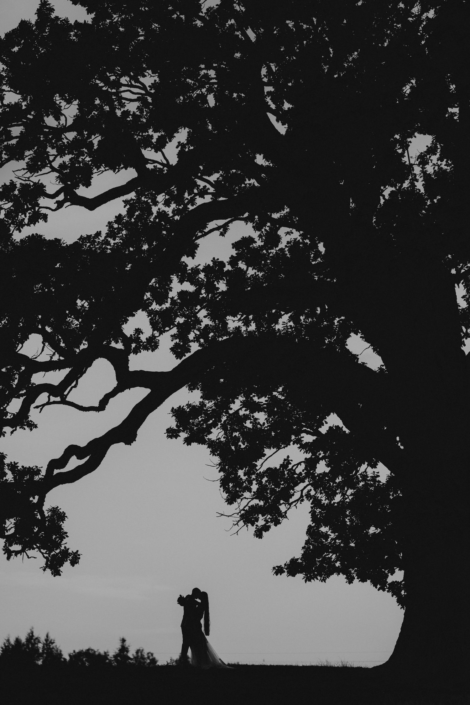 pulmafoto