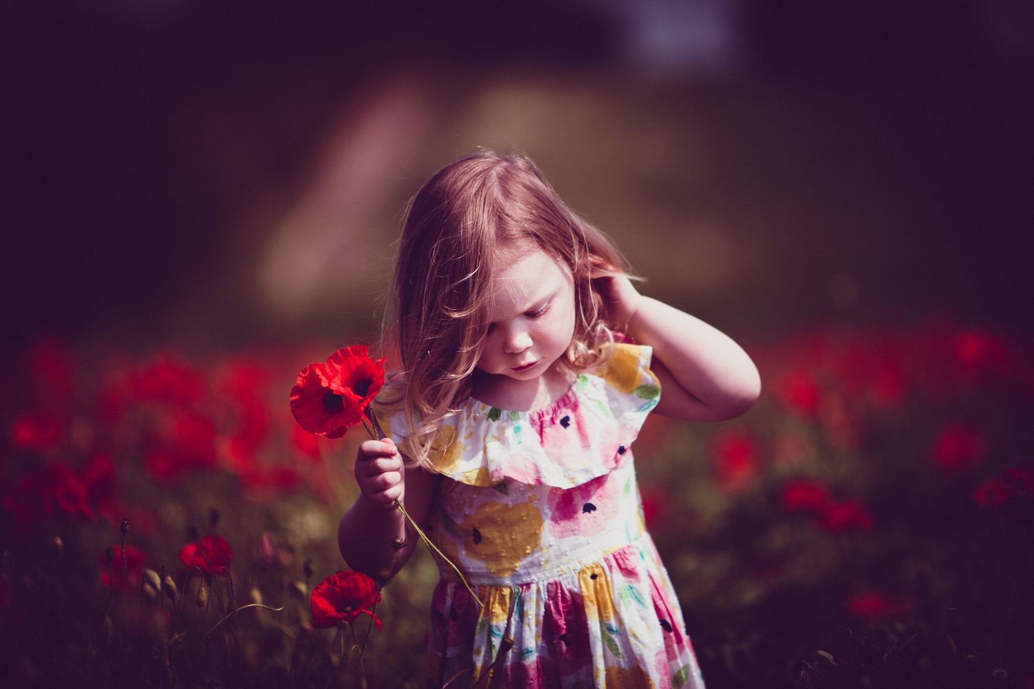 Jason Stuart Photography , West Yorkshire Wedding Photographer- Family Photography
