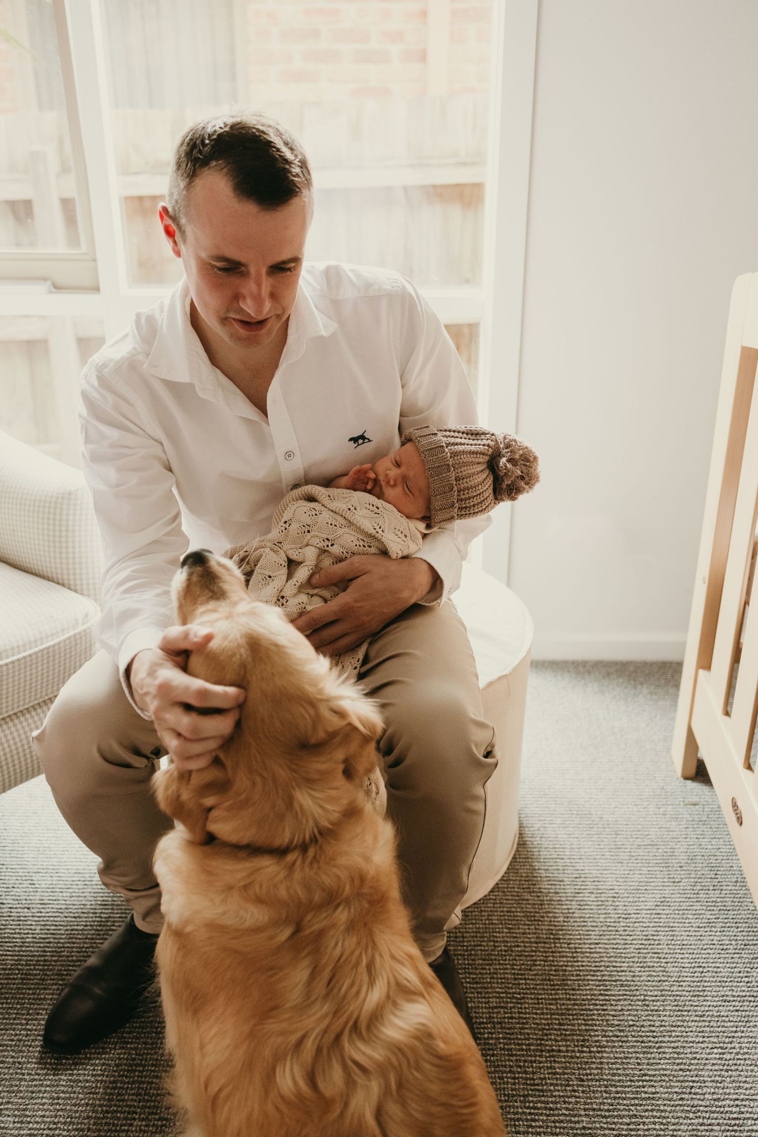 A golden retriever interacts with a person holding a baby in a bright nursery setting.