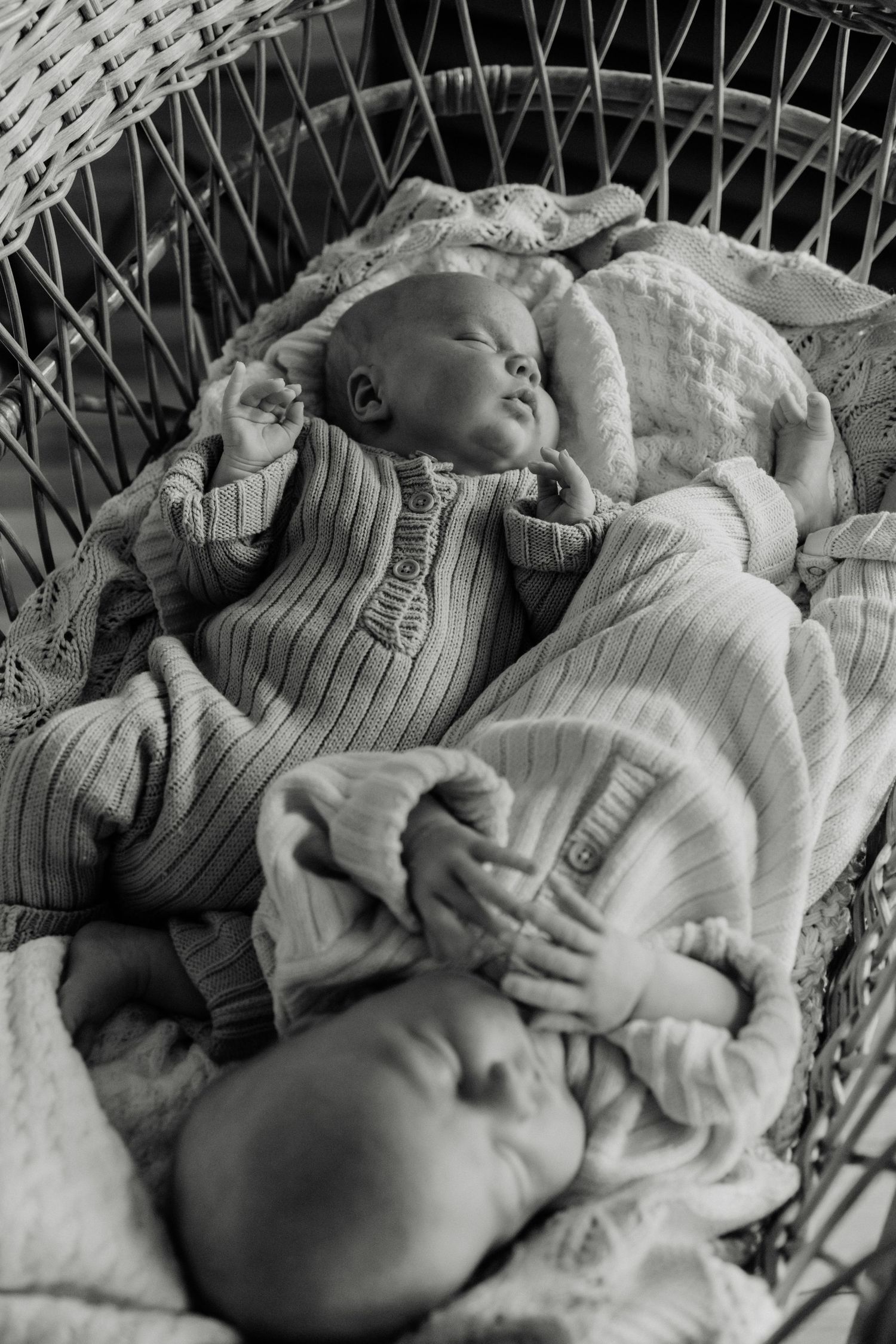 Black and white photo of sleeping twins in knit sweaters resting in a wicker basket.