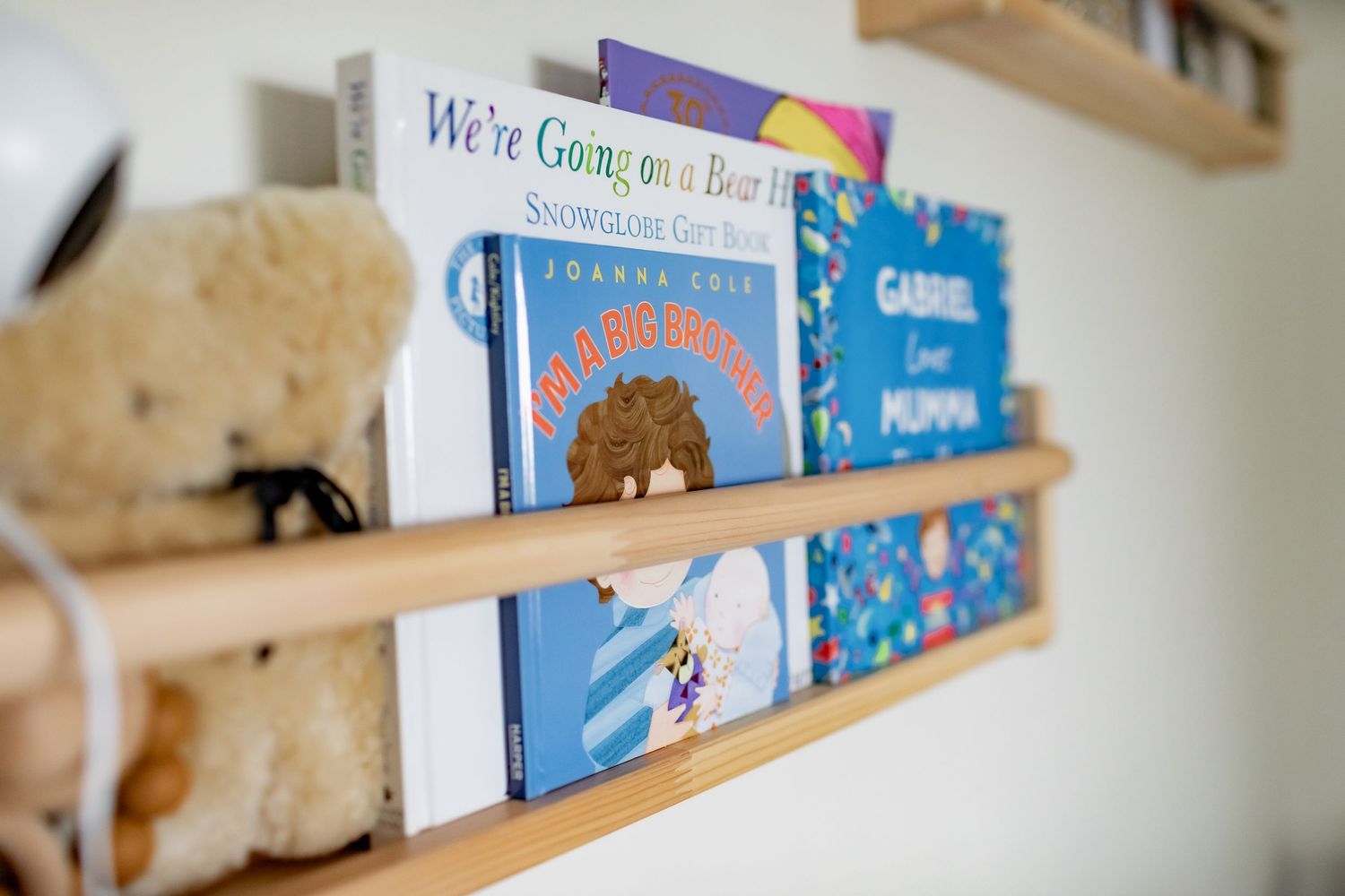 Wooden wall shelf displaying children's books and stuffed animals.