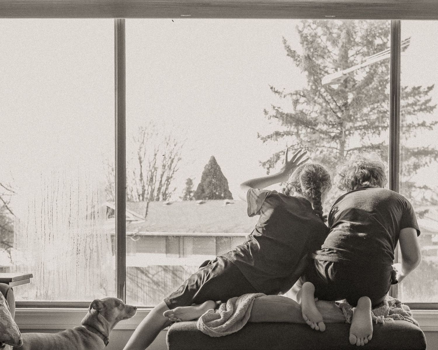brother and sister looking for something by a large window