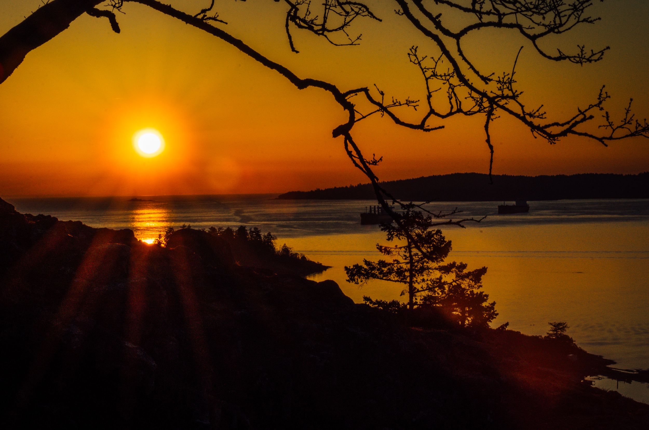 Top 10 Nanaimo Hikes Driftwoods Photography Vancouver Island