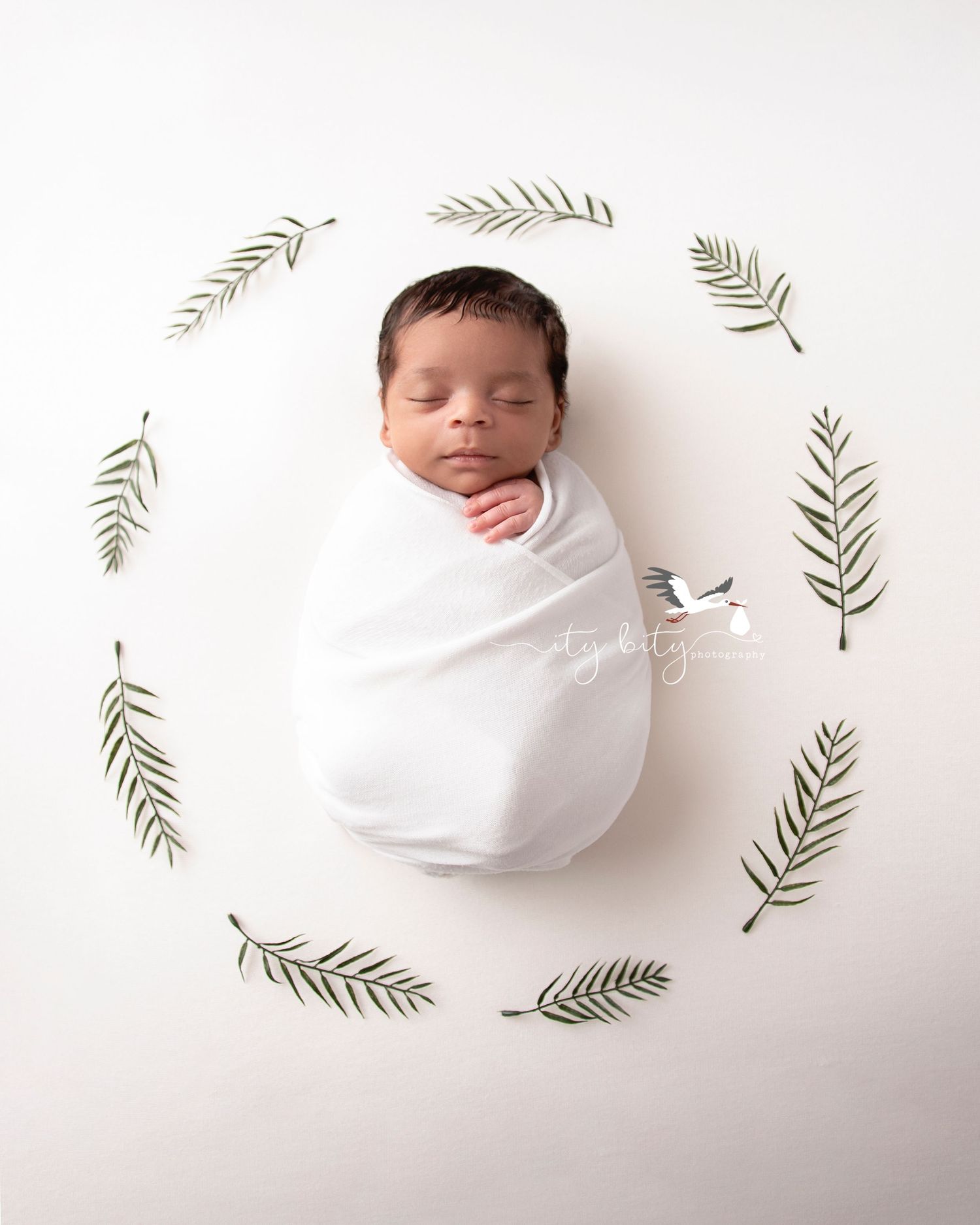 Jose Ramirez Newborn Baby Session Cleveland Ohio