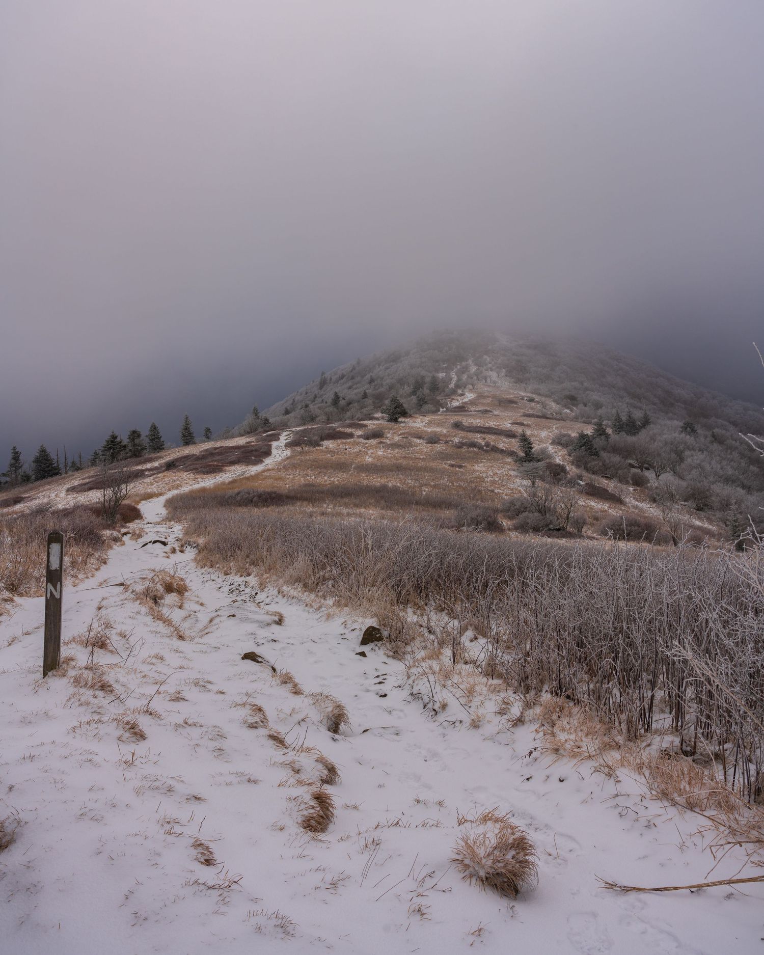 Snow covered Appalachian Trail along the North Carolina - Tennesssee border leading to a dark blue cloudy sky.