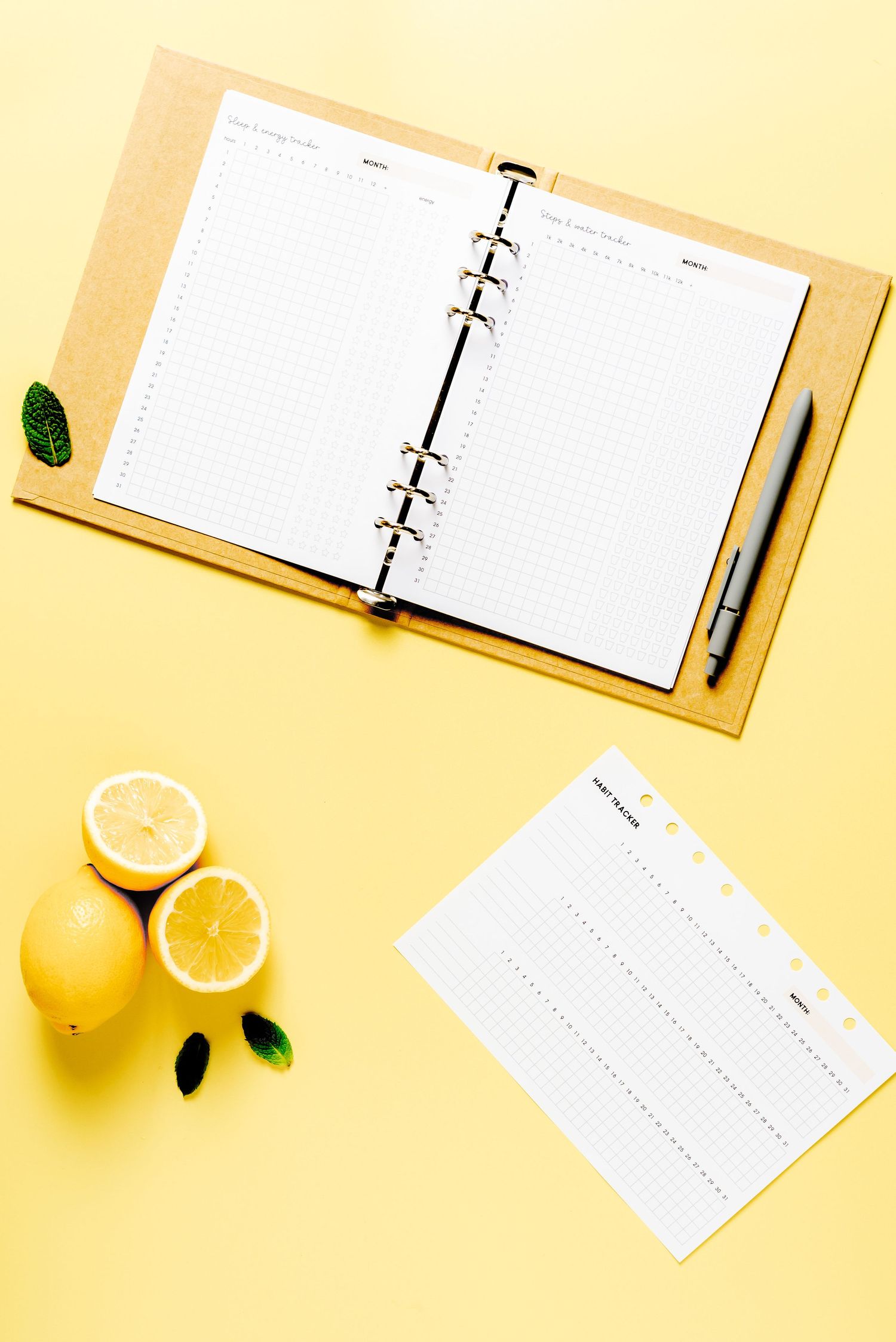 binder with goals inserts on yellow backdrop with lemons, motivating stock photos for lifestyle and fitness