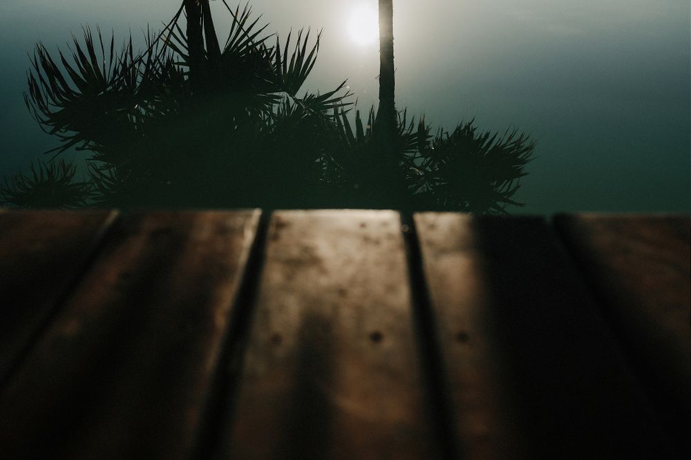 Papaya playa project Wedding Tulum