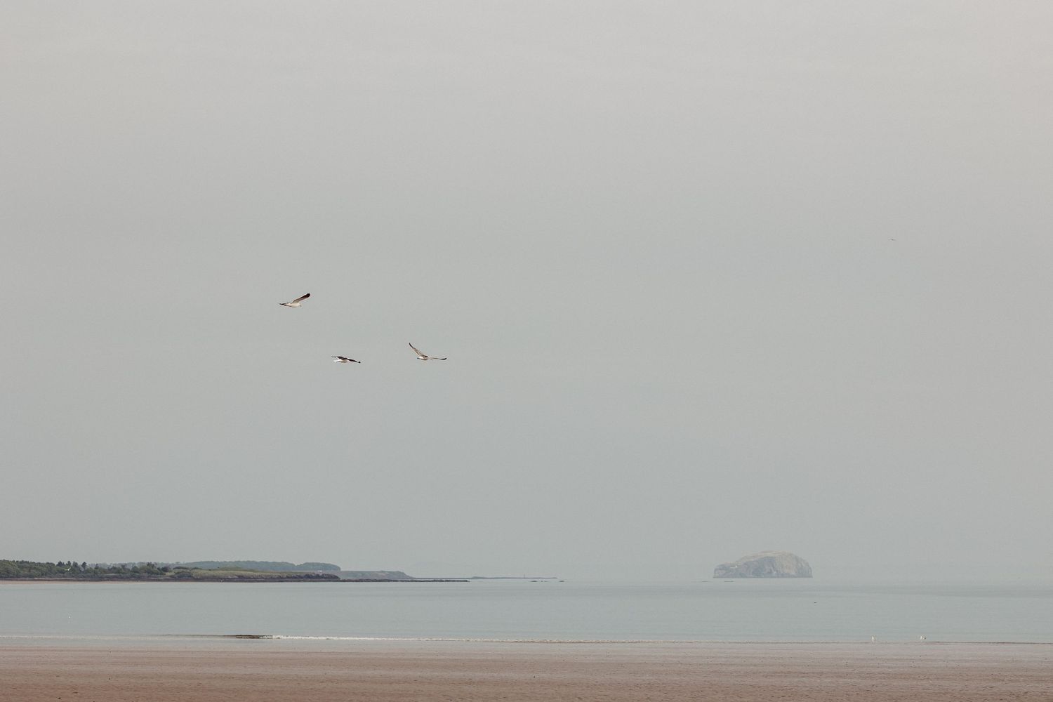 Misty beach landscape with distant shoreline and birds flying over calm waters.