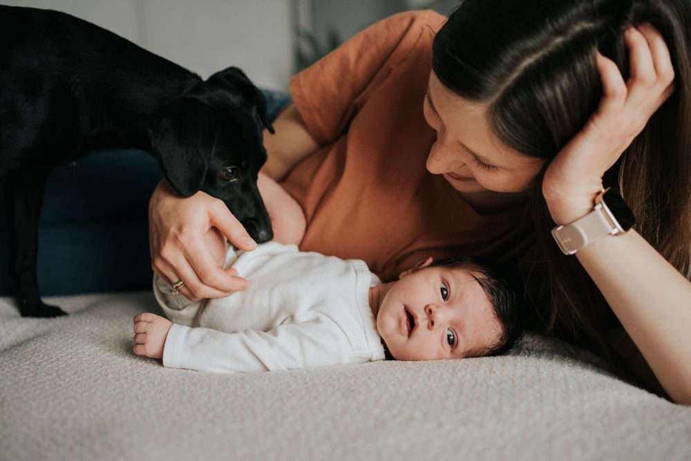 noworodek, mama i pies na łóżku - sesja noworodkowa Kraków