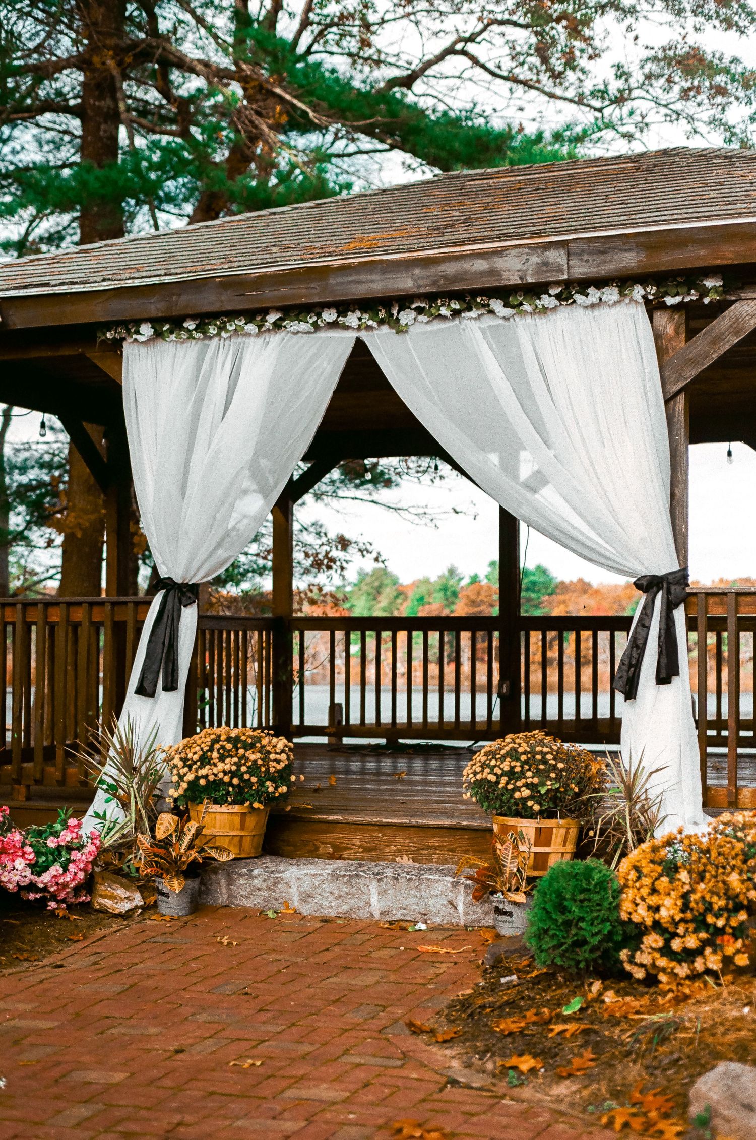 A rustic gazebo decorated with white curtains and fall mums for an outdoor wedding ceremony.