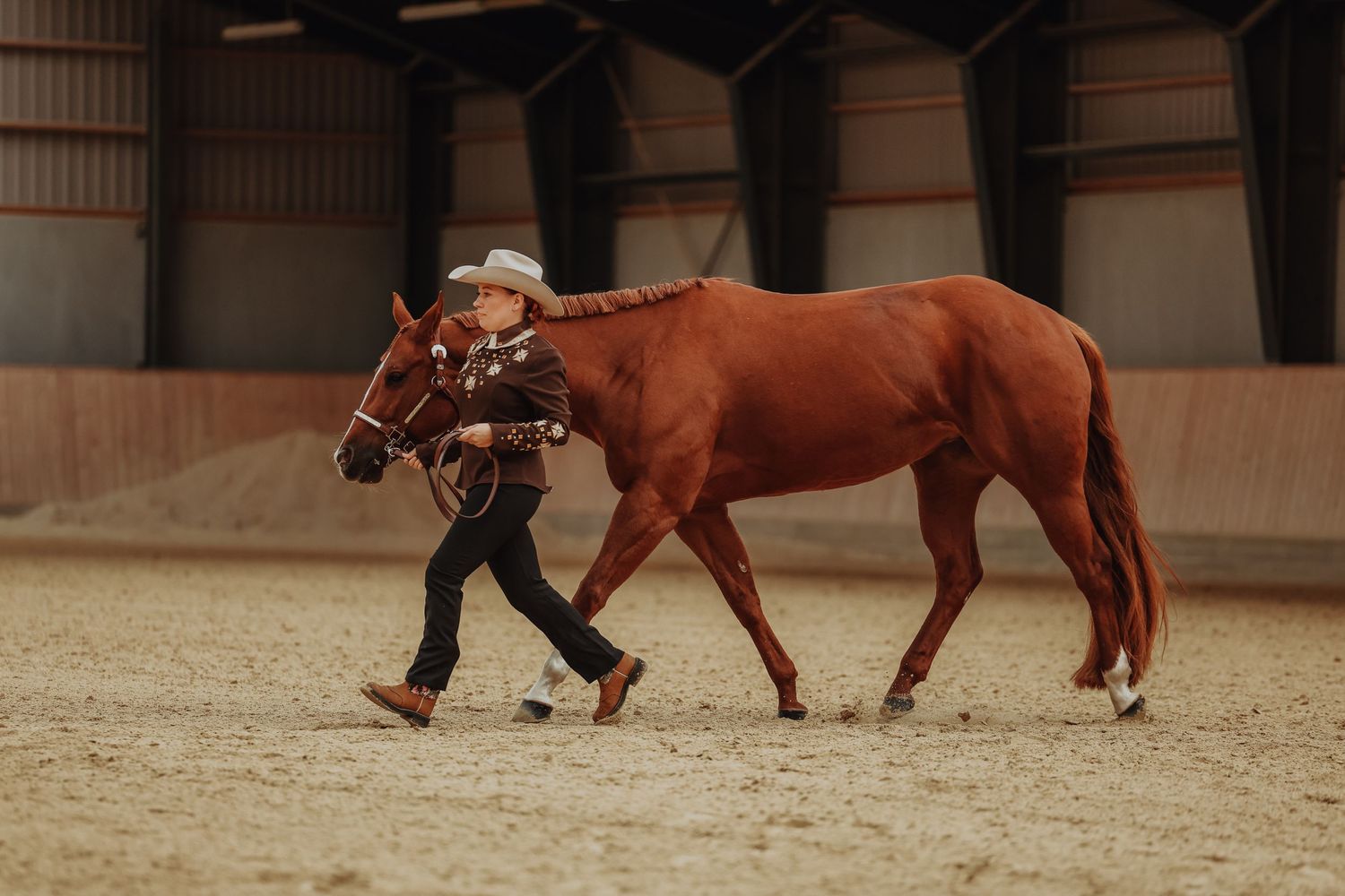 A chestnut horse being led through an indoor arena during training.