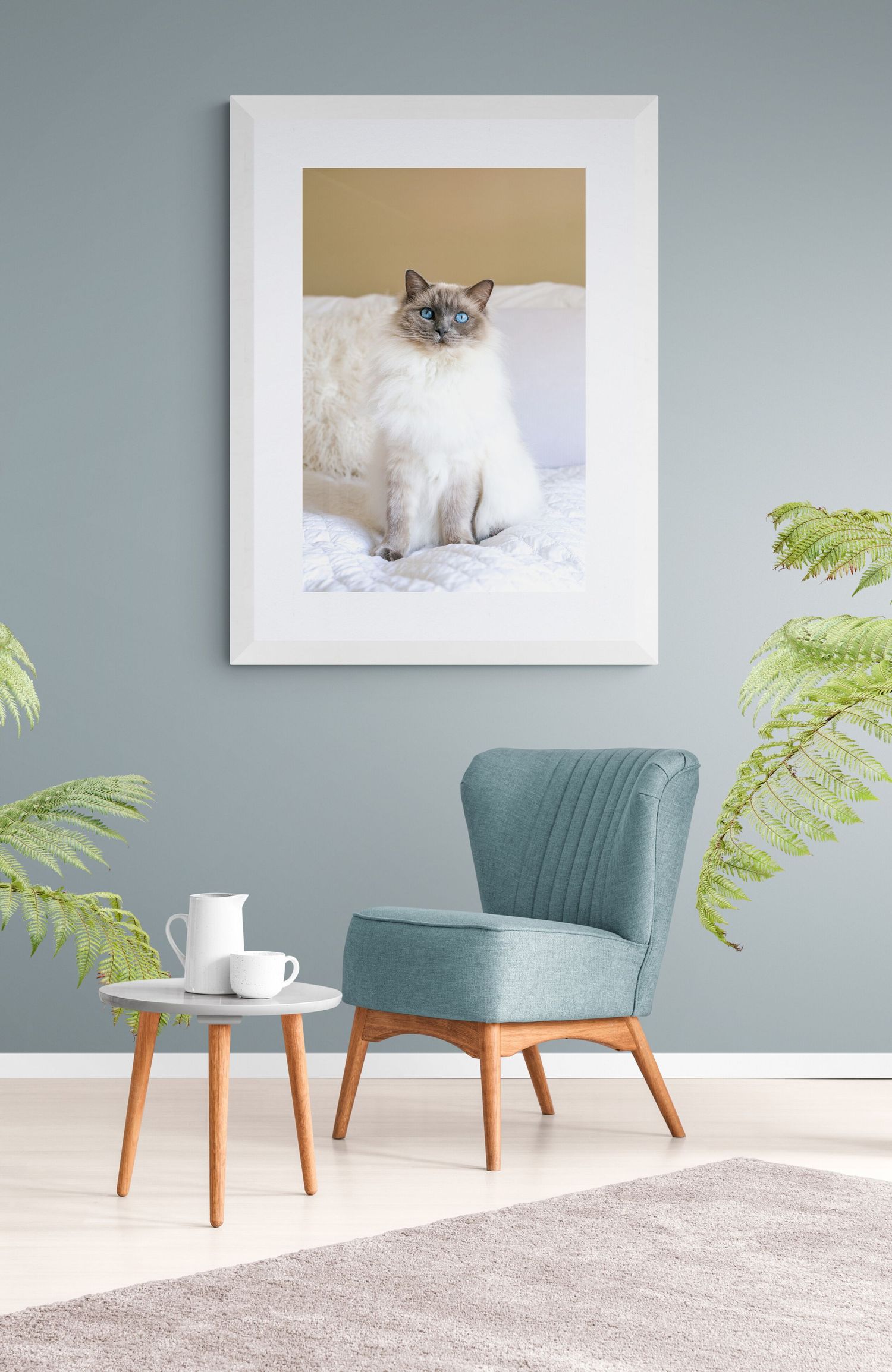 Adelaide Pet Portrait Photographer