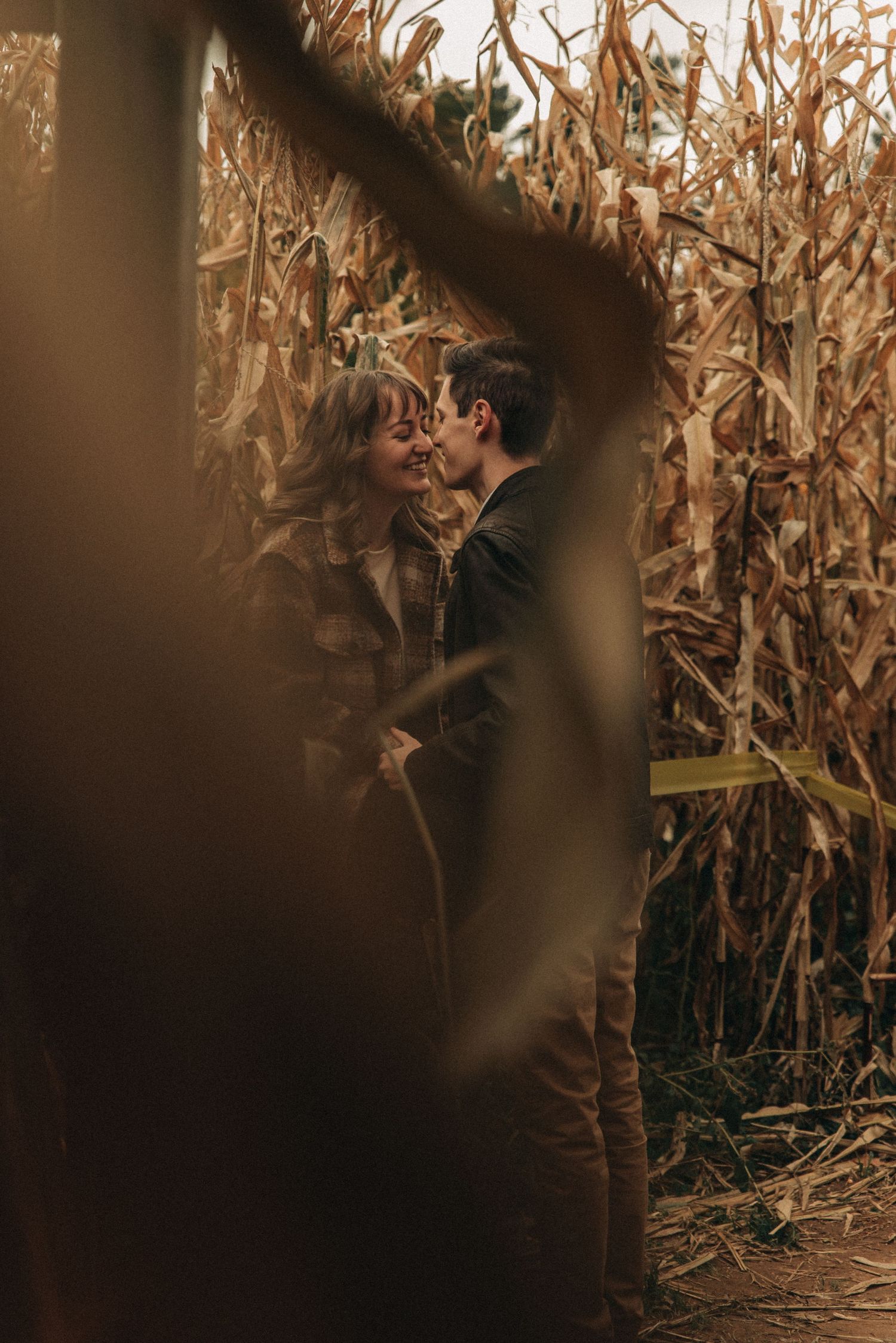 An intimate moment shared between a couple in a rustic cornfield maze.