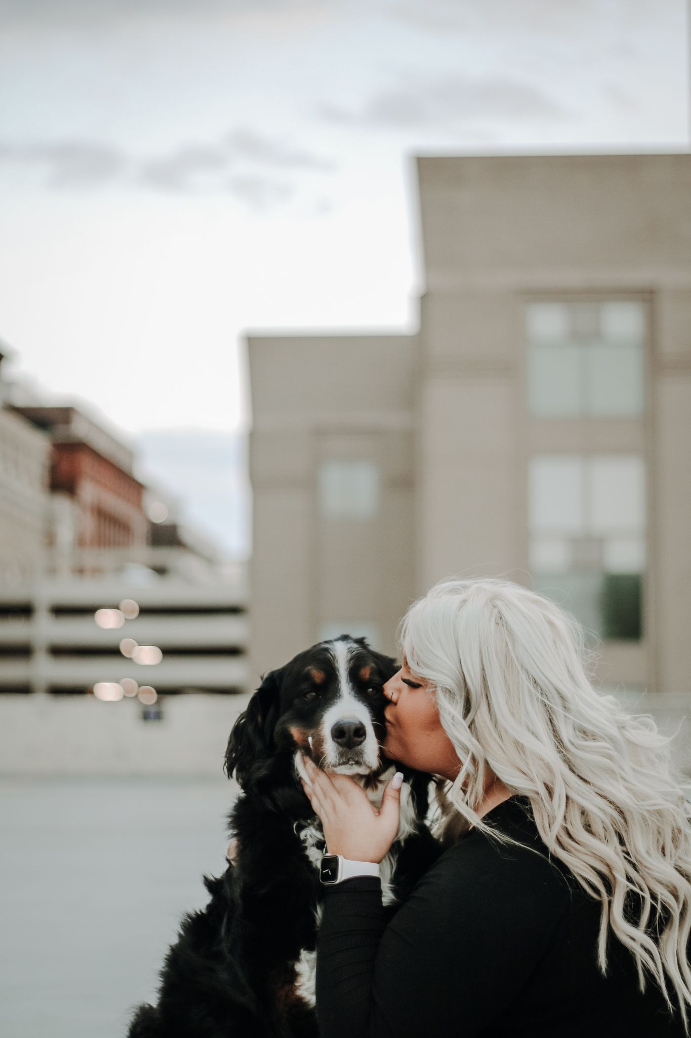 Black and white Border Collie outdoors against an urban backdrop.