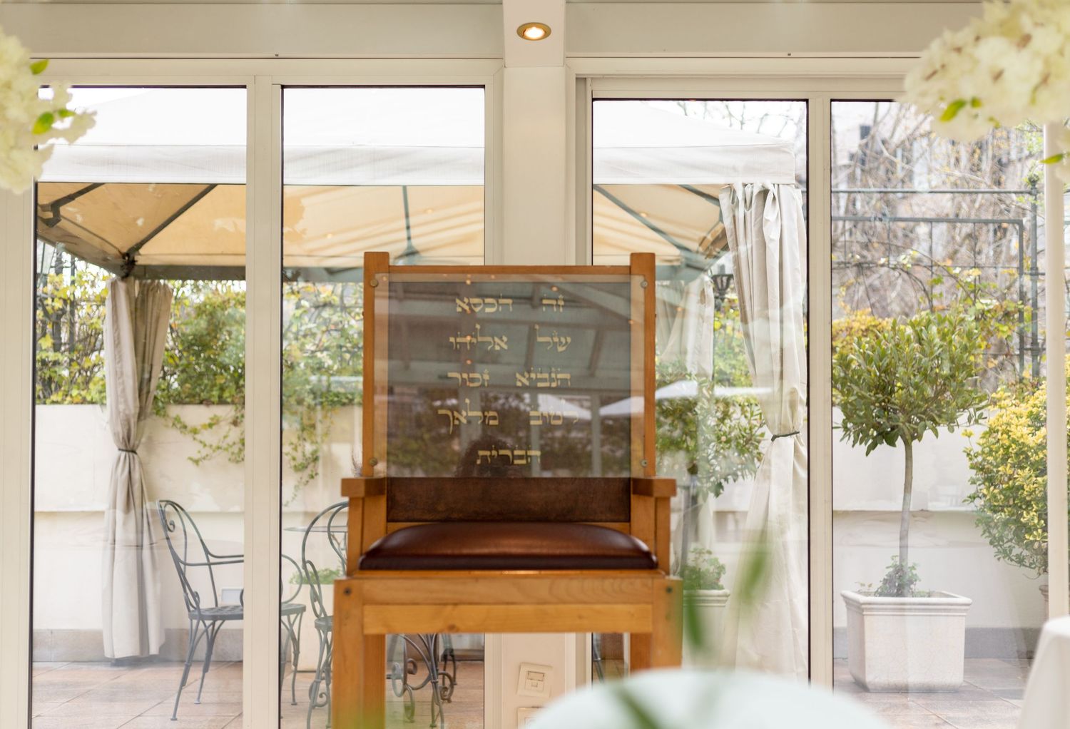 Sunlit display case by windows with potted plants in bright interior setting.