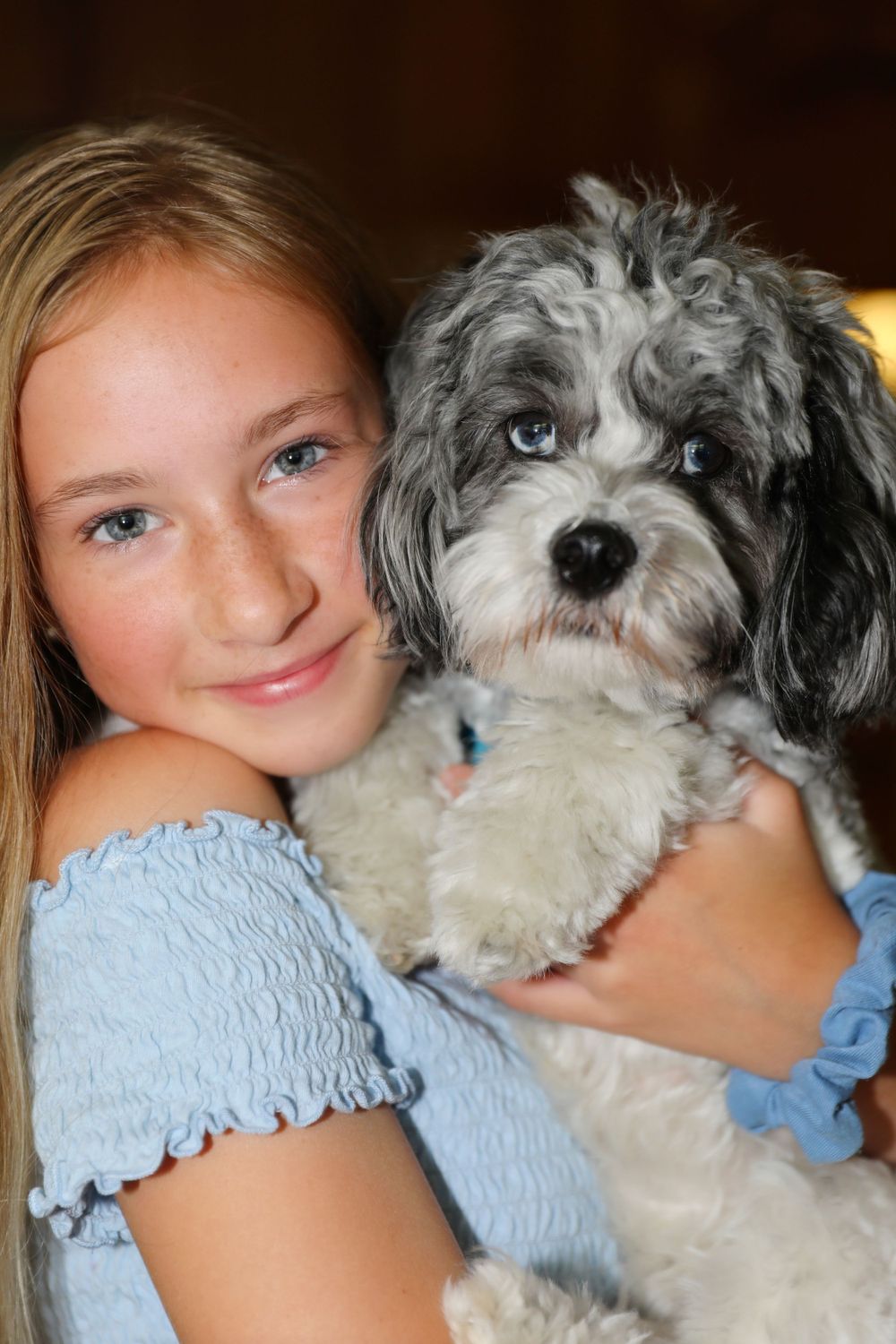 A fluffy white and gray dog snuggling close in a series of affectionate poses.