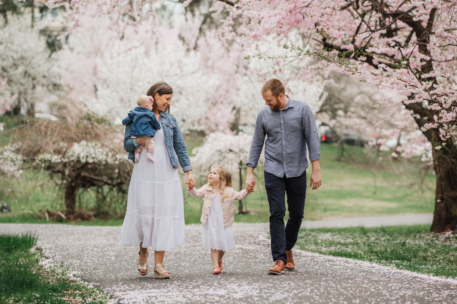 People walking together along a path beneath blooming cherry blossom trees in spring.