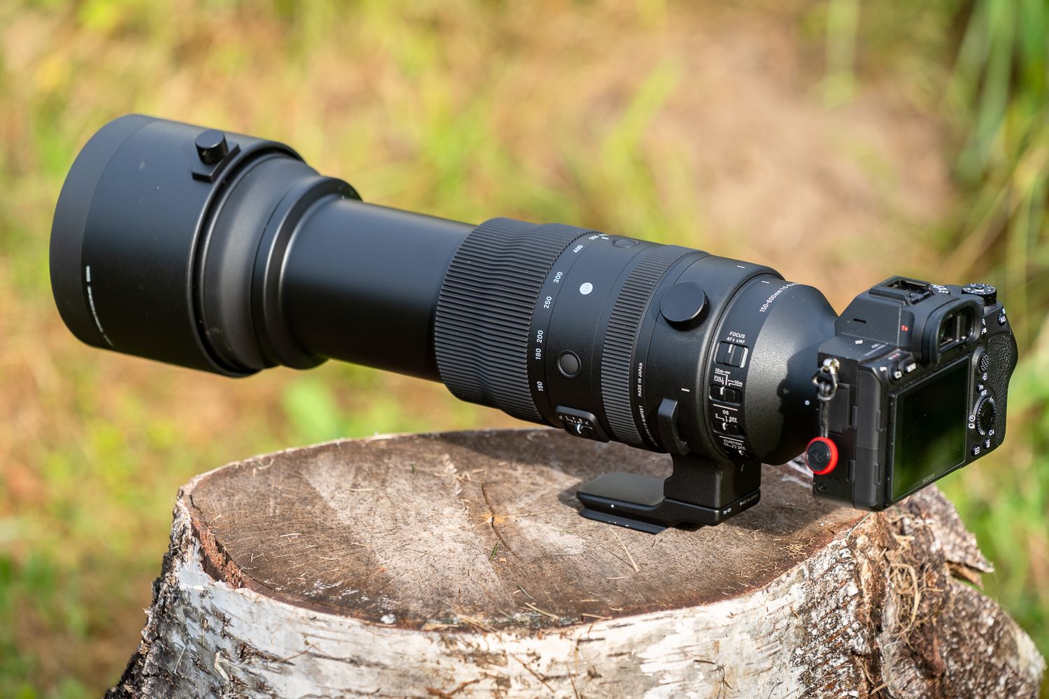 Professionele camera met telelens gemonteerd op een boomstronk in een buitenopstelling.