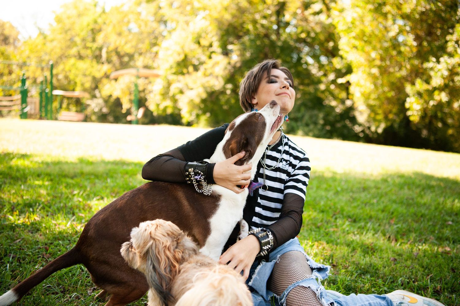 Two friendly dogs playing outdoors with someone in striped clothing on a sunny day.
