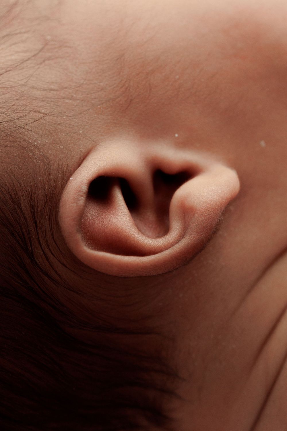Macro close-up of newborn's ear showing delicate skin details.