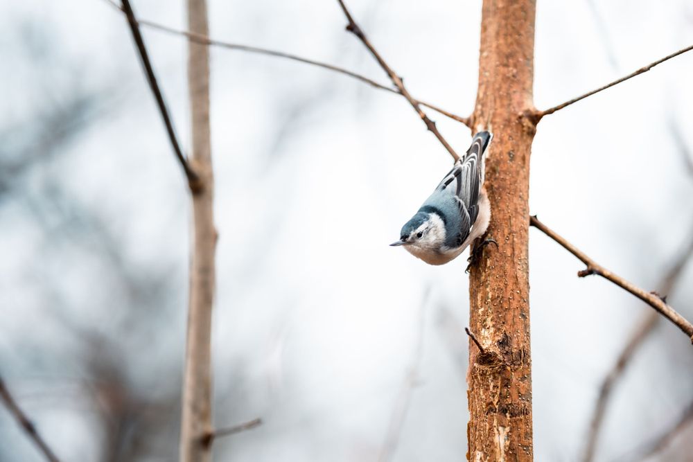 Nature photography by The Iconic Photograph.