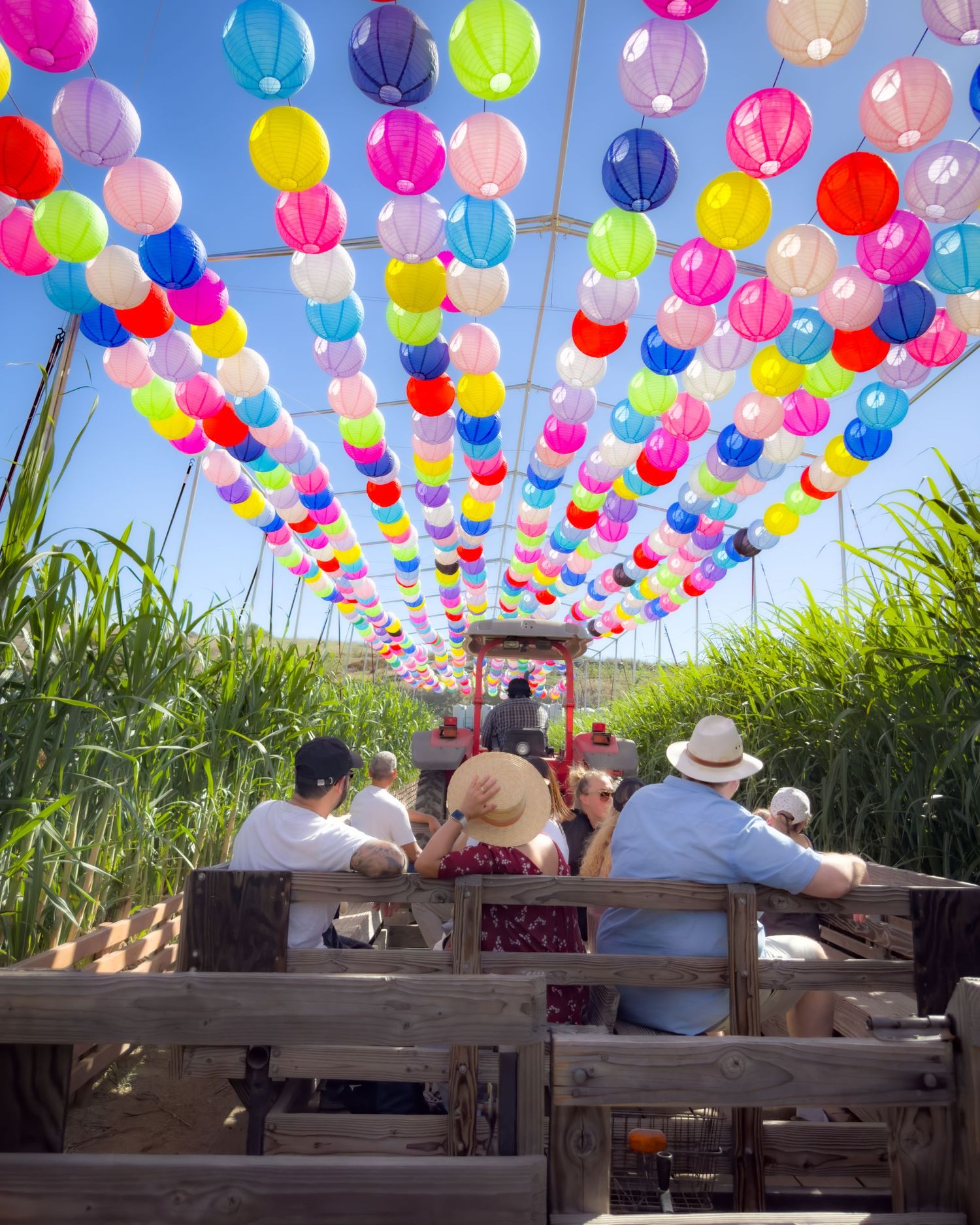 Colorful balloons overhead on a wagon ride through green fields.