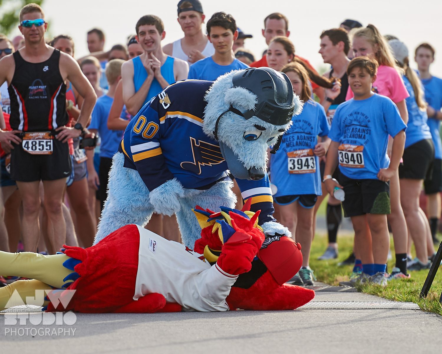 Mascots in blue and red costumes playfully wrestling on ground during running event.