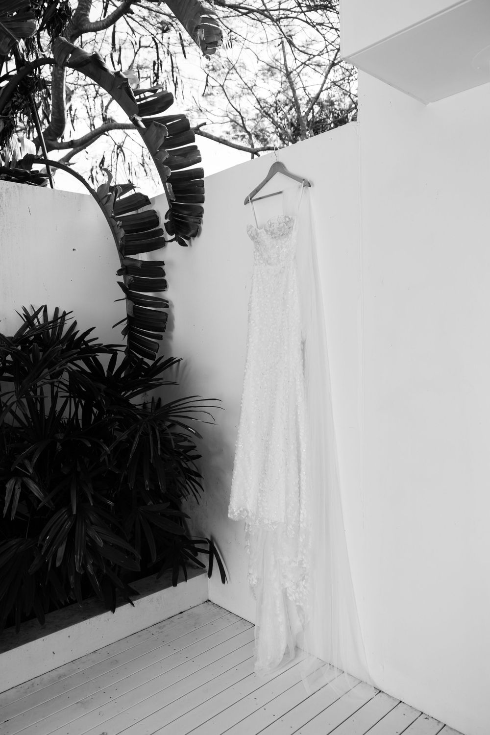 Delicate white lace wedding dress hanging against a white wall with tropical plants visible outside.